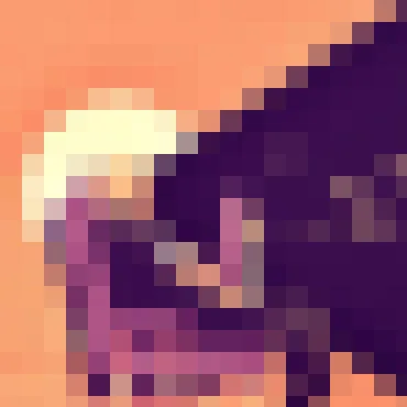 球探体育APPtailongli